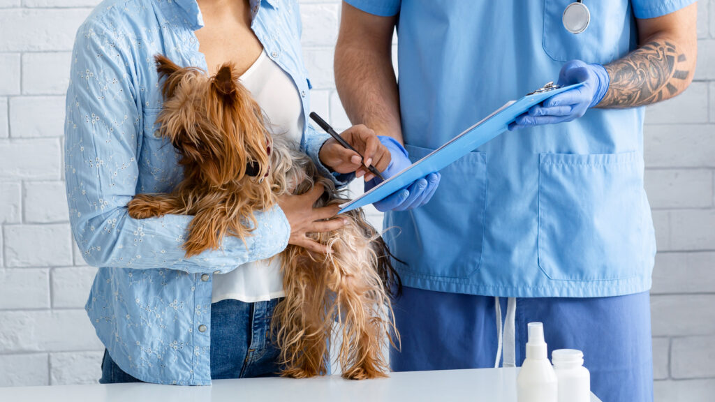 Closeup view of client with cute dog signing pet insurance policy at veterinarian clinic